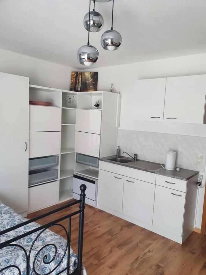 Haus Am Scheibenfelsen Apartment St. Blasien Bagian luar foto