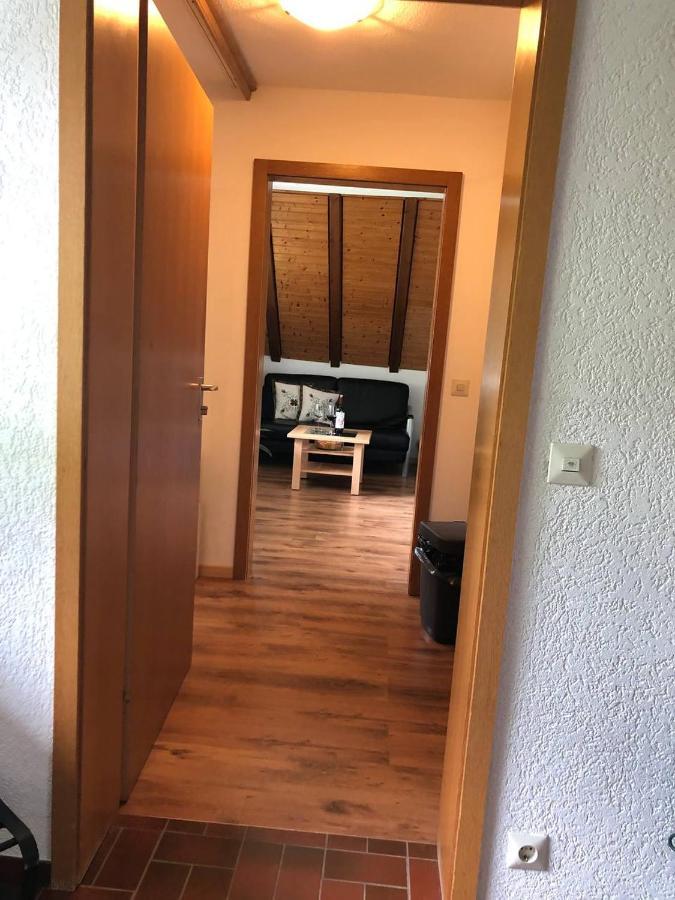 Haus Am Scheibenfelsen Apartment St. Blasien Bagian luar foto