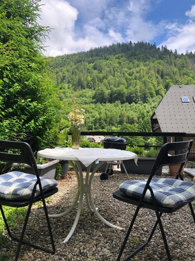 Haus Am Scheibenfelsen Apartment St. Blasien Bagian luar foto