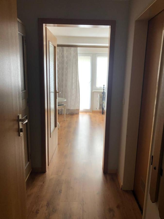 Haus Am Scheibenfelsen Apartment St. Blasien Bagian luar foto