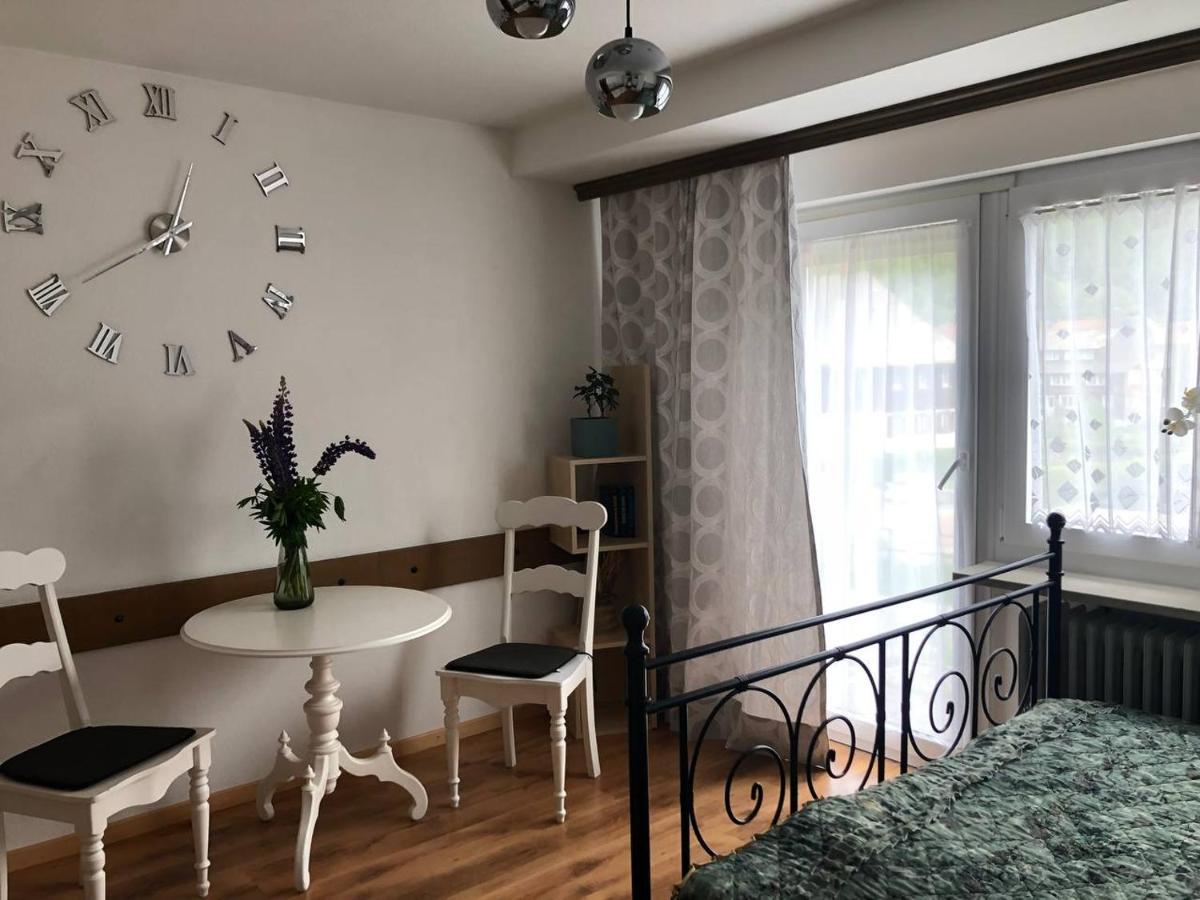 Haus Am Scheibenfelsen Apartment St. Blasien Bagian luar foto